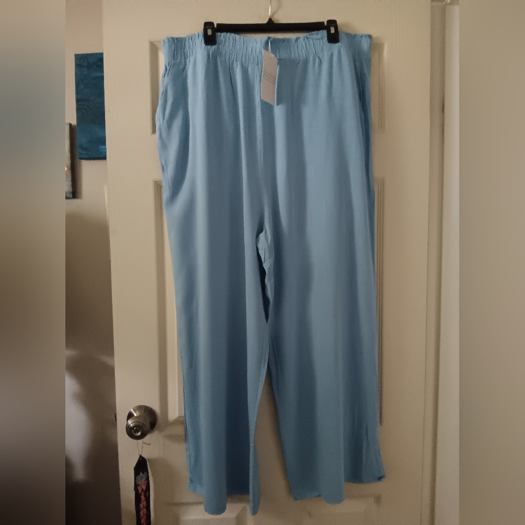 Nwt Ninexis Women's Light Blue Linen Pants Sz 3x